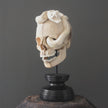 Tarmarind Wooden Skull With Snake Carving Antler - 6Y/107