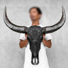 Caved Waterbuffalo Skulls with Flower Mandala Carving Skull,A/168