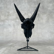 Black Carved Goat Skull & Horns on Stand - Traditional Balinese Engravings – Unique Gothic Boho Home Decor, Rustic Wall Mount - F4/101