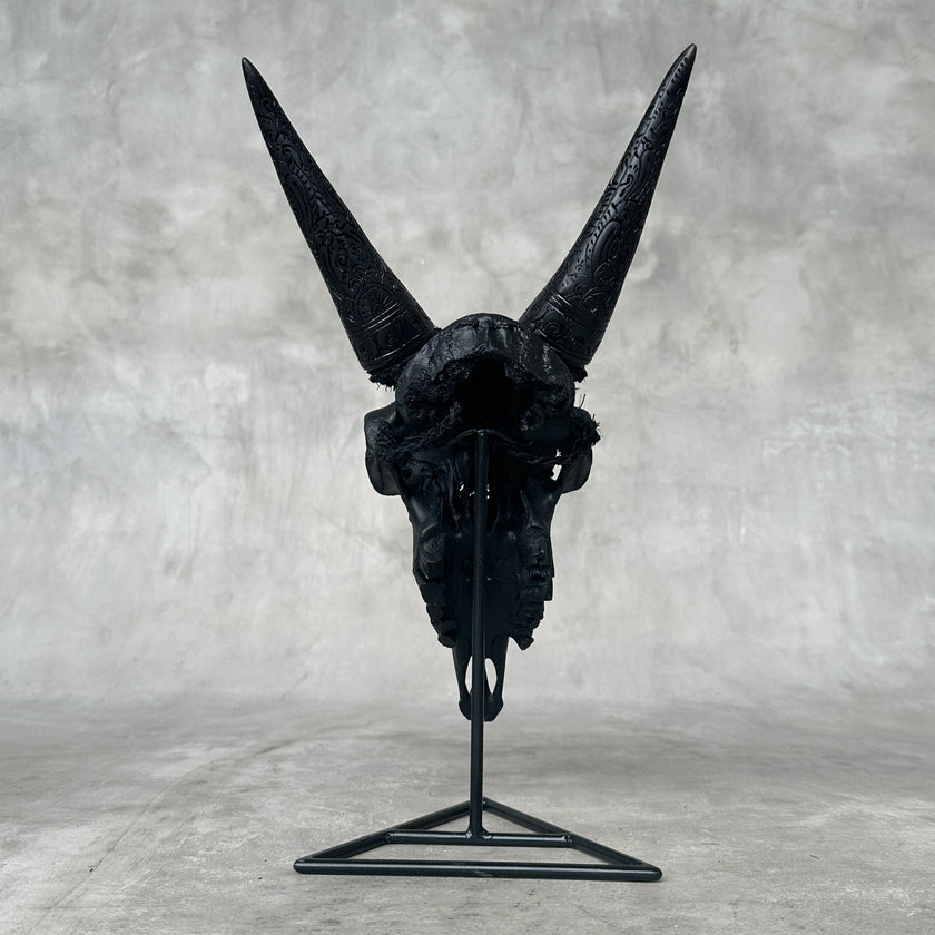 Black Carved Goat Skull & Horns on Stand - Traditional Balinese Engravings – Unique Gothic Boho Home Decor, Rustic Wall Mount