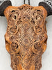 Fully Carved Cow Skull with Ketupat Design – Balinese Tribal Wall Art – Etched Horn Bone Sculpture in Natural Finish - Skull,A/083