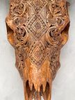 Fully Carved Cow Skull with Ketupat Design – Balinese Tribal Wall Art – Etched Horn Bone Sculpture in Natural Finish - Skull,A/083