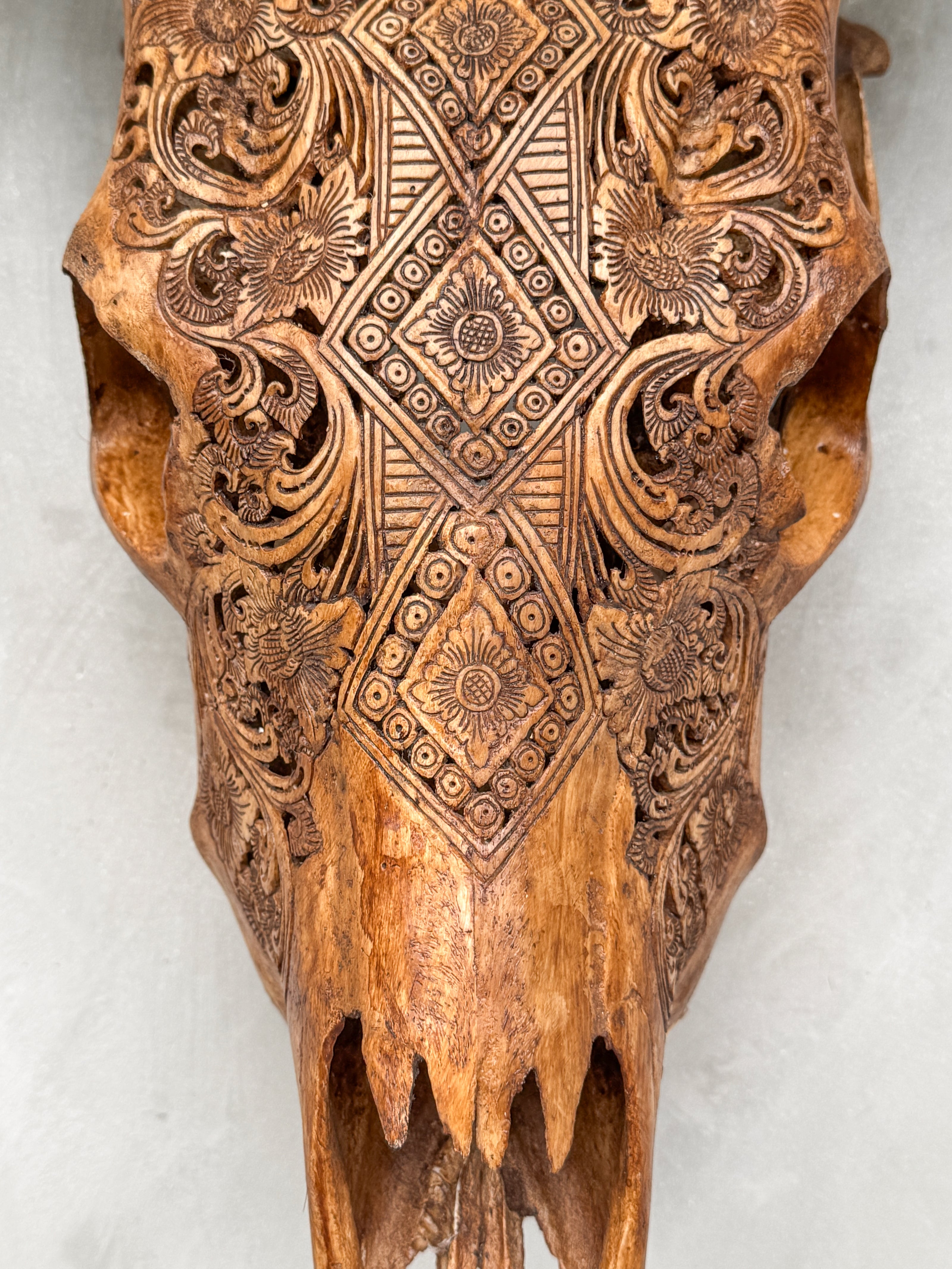 Fully Carved Cow Skull with Ketupat Design – Balinese Tribal Wall Art – Etched Horn Bone Sculpture in Natural Finish - Skull,A/083