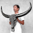 Caved Waterbuffalo Skulls with Ketimun Lotus Carving Skull,A/181