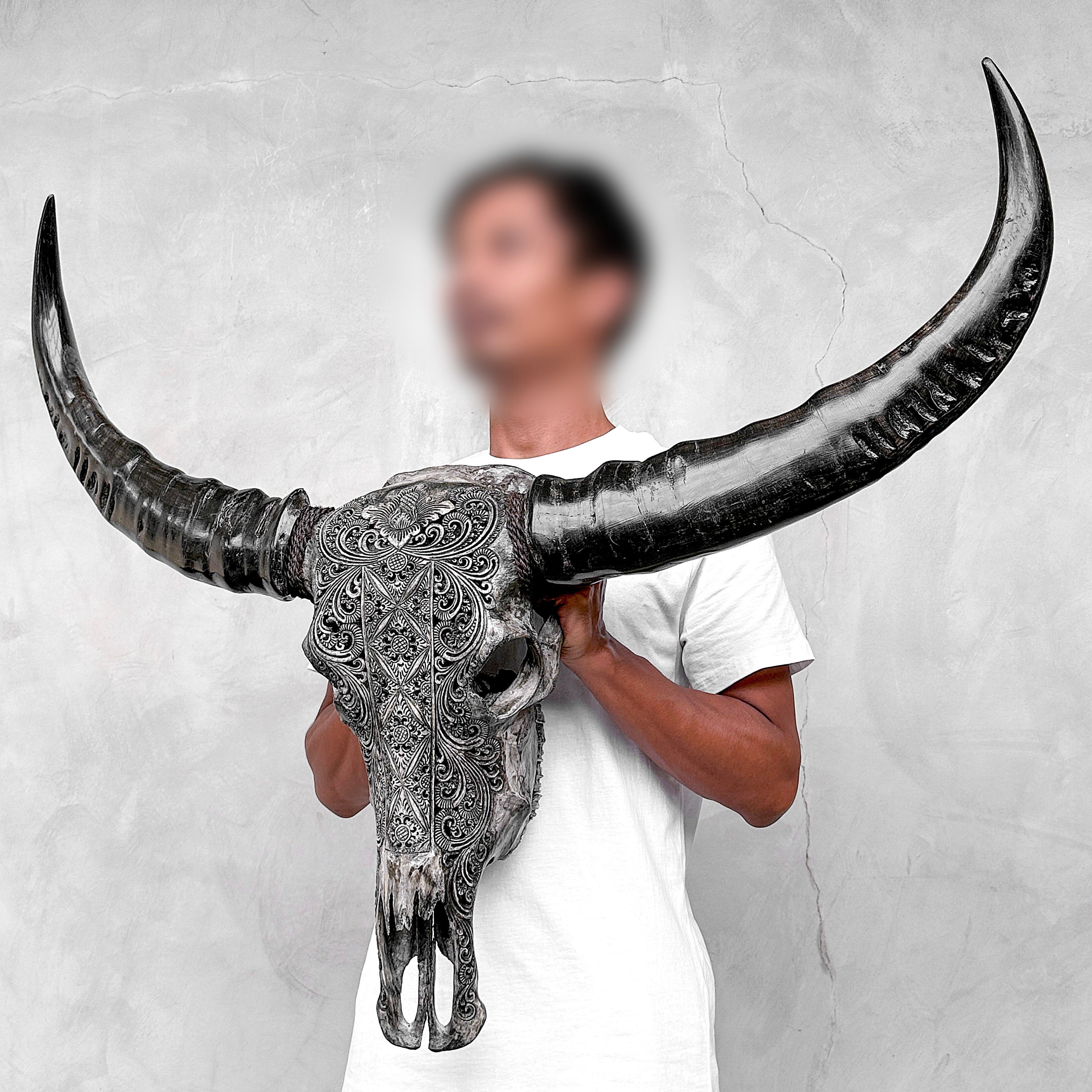 Caved Waterbuffalo Skulls with Ketimun Lotus Carving Skull,A/181