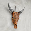 Fully Carved Cow Skull with Ketupat Design – Balinese Tribal Wall Art – Etched Horn Bone Sculpture in Natural Finish - Skull,A/083