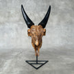 Brown Carved Goat Skull on Stand - Big Lotus Engraving – Unique Gothic Boho Home Decor, Rustic Wall Mount