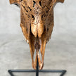 Brown Carved Goat Skull on Stand - Big Lotus Engraving – Unique Gothic Boho Home Decor, Rustic Wall Mount