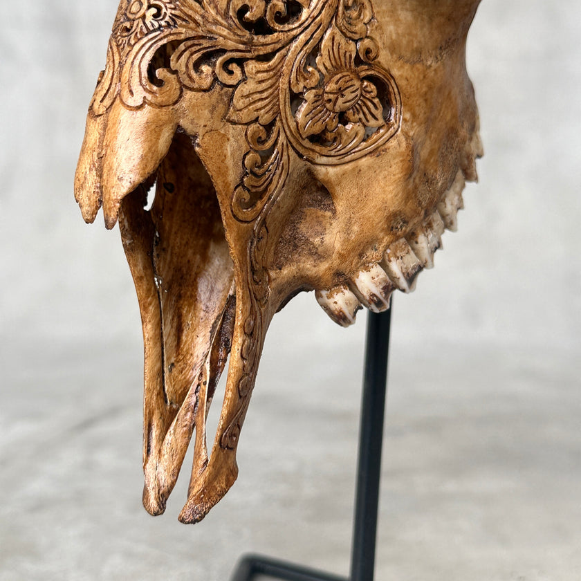 Brown Carved Goat Skull on Stand - Big Lotus Engraving – Unique Gothic Boho Home Decor, Rustic Wall Mount