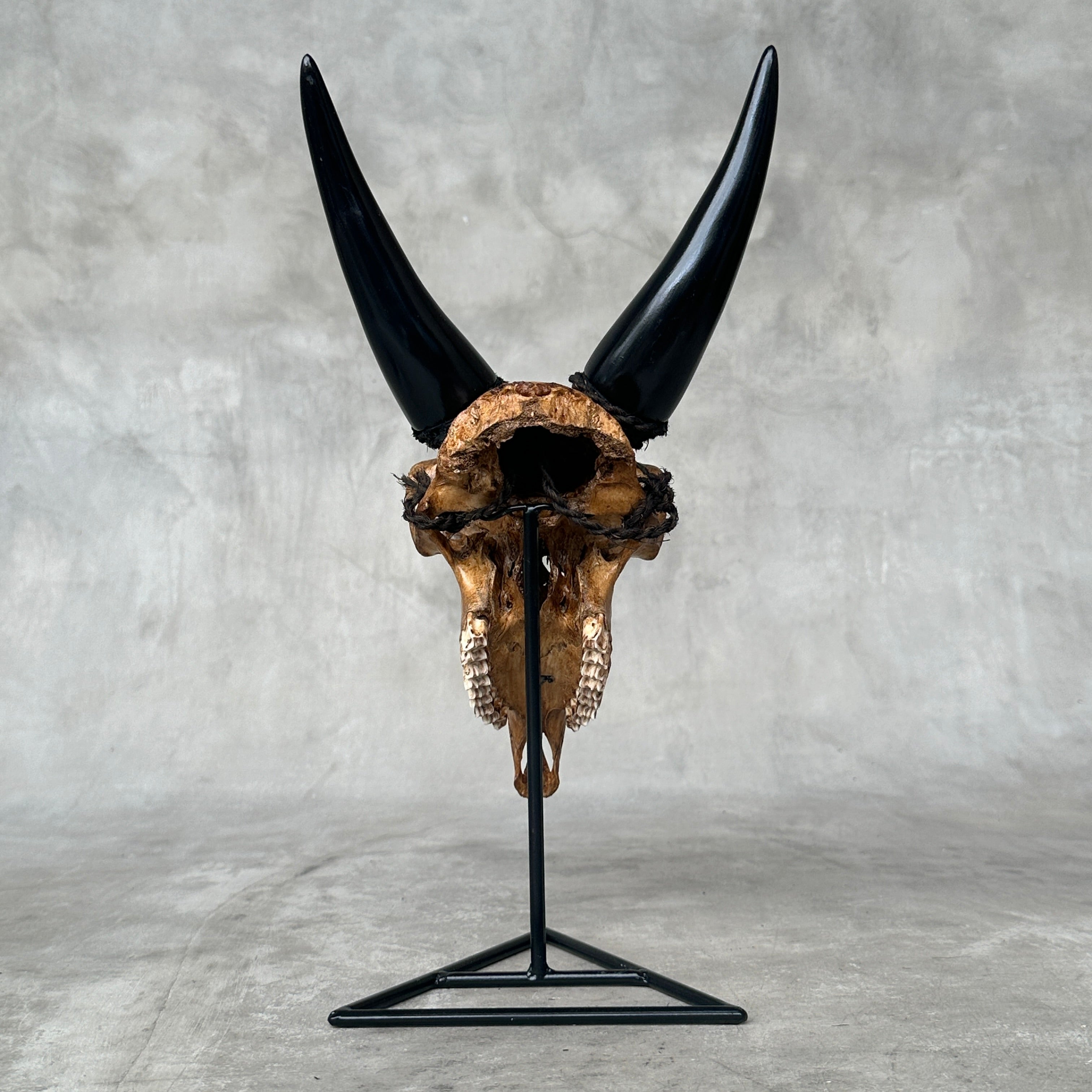 Brown Carved Goat Skull on Stand - Big Lotus Engraving – Unique Gothic Boho Home Decor, Rustic Wall Mount