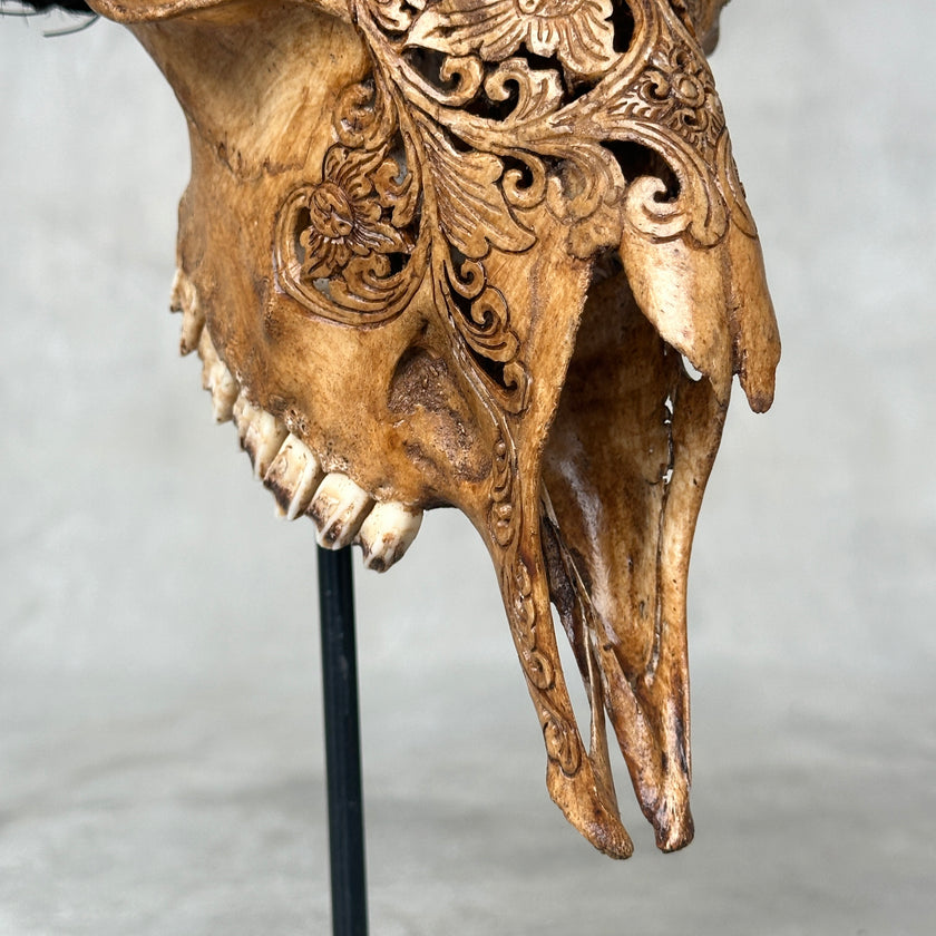 Brown Carved Goat Skull on Stand - Big Lotus Engraving – Unique Gothic Boho Home Decor, Rustic Wall Mount
