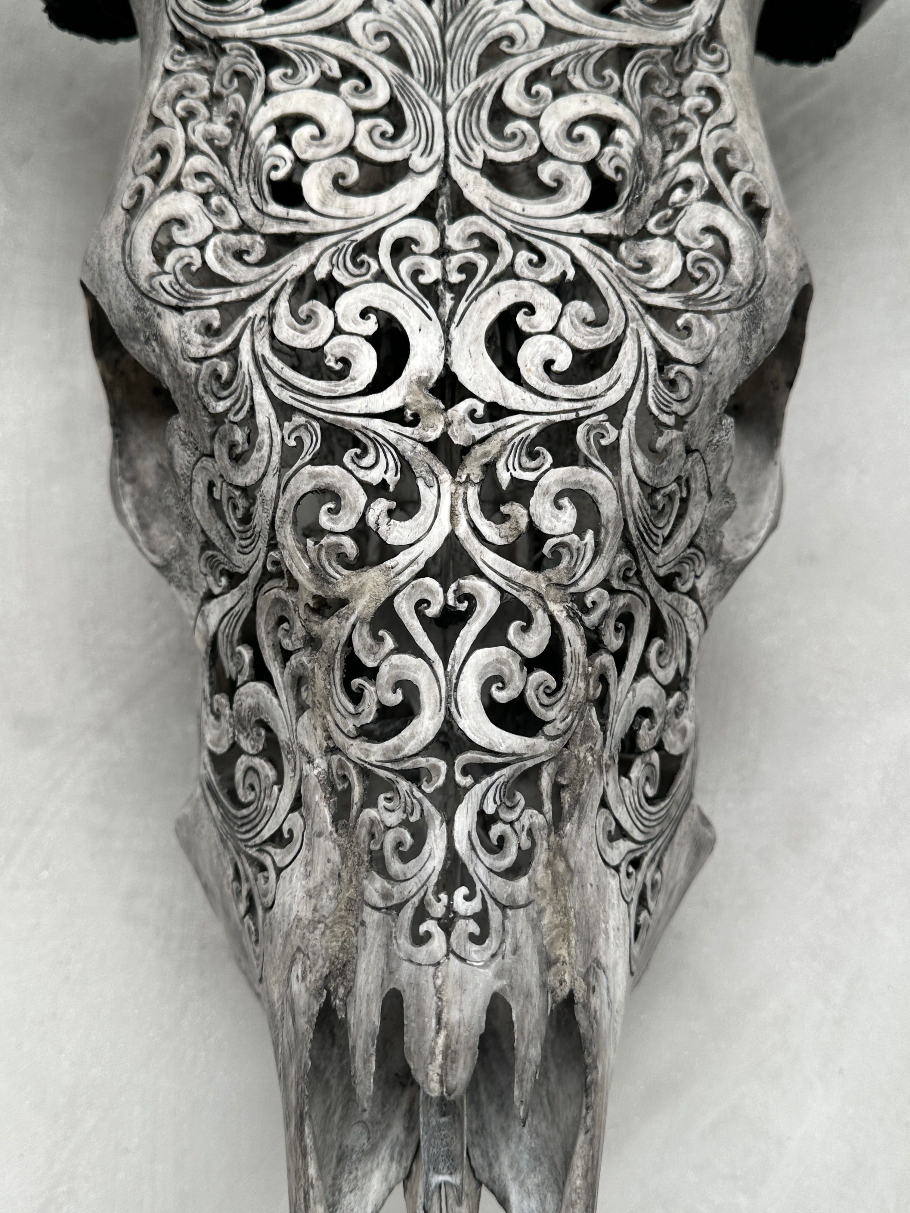 Cow Carved Tradball - Skull,A/012