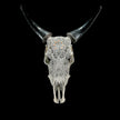 Grey Carved Cow Skull With Abalone Shell Accents - Peacock motif | Skull,A/144