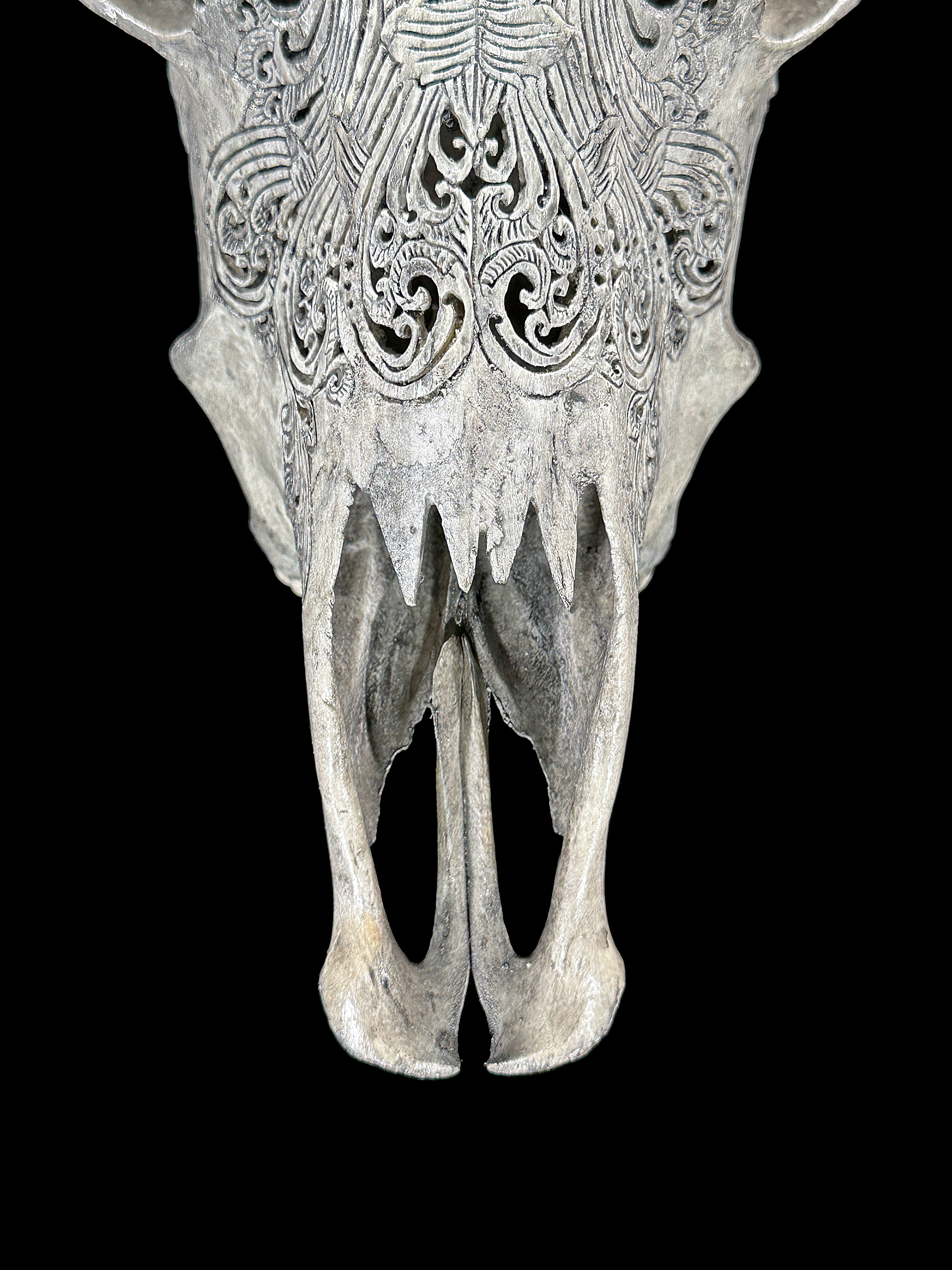 Grey Carved Cow Skull With Abalone Shell Accents - Peacock motif | Skull,A/144