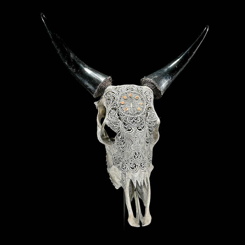 Grey Carved Cow Skull With Abalone Shell Accents - Peacock motif | Skull,A/144