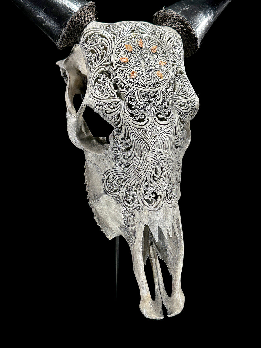 Grey Carved Cow Skull With Abalone Shell Accents - Peacock motif | Skull,A/144