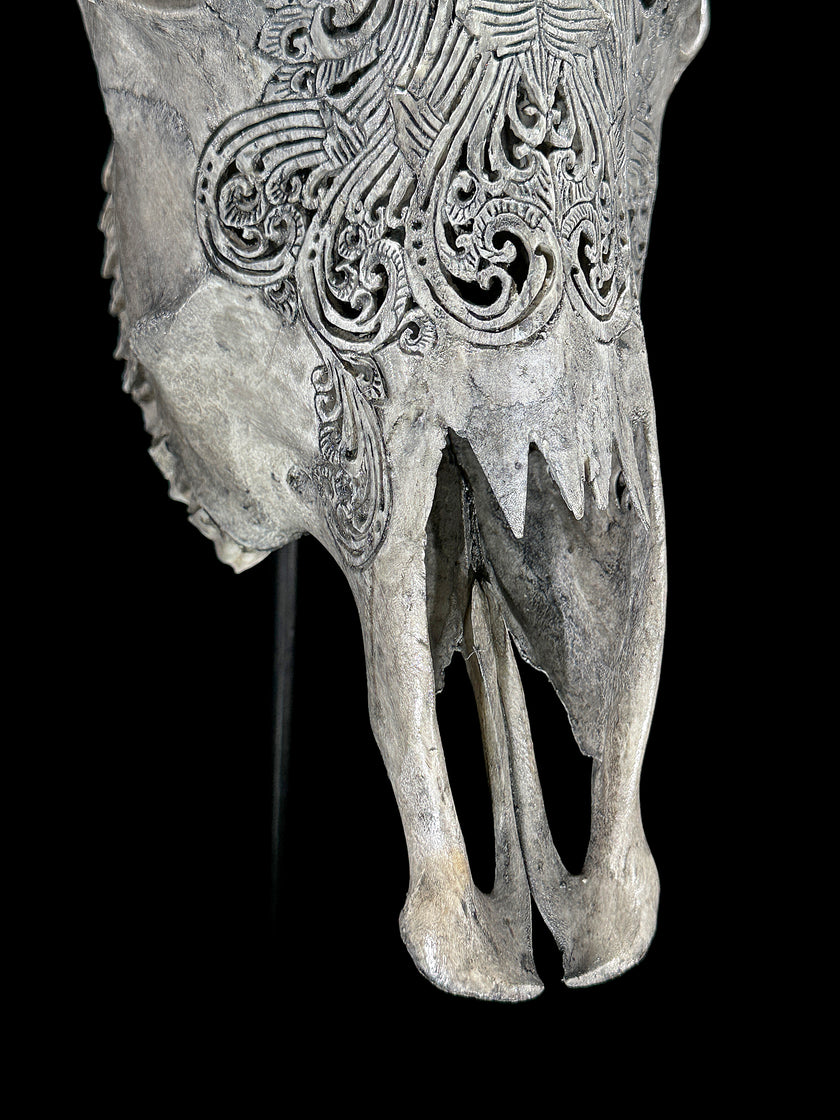 Grey Carved Cow Skull With Abalone Shell Accents - Peacock motif | Skull,A/144