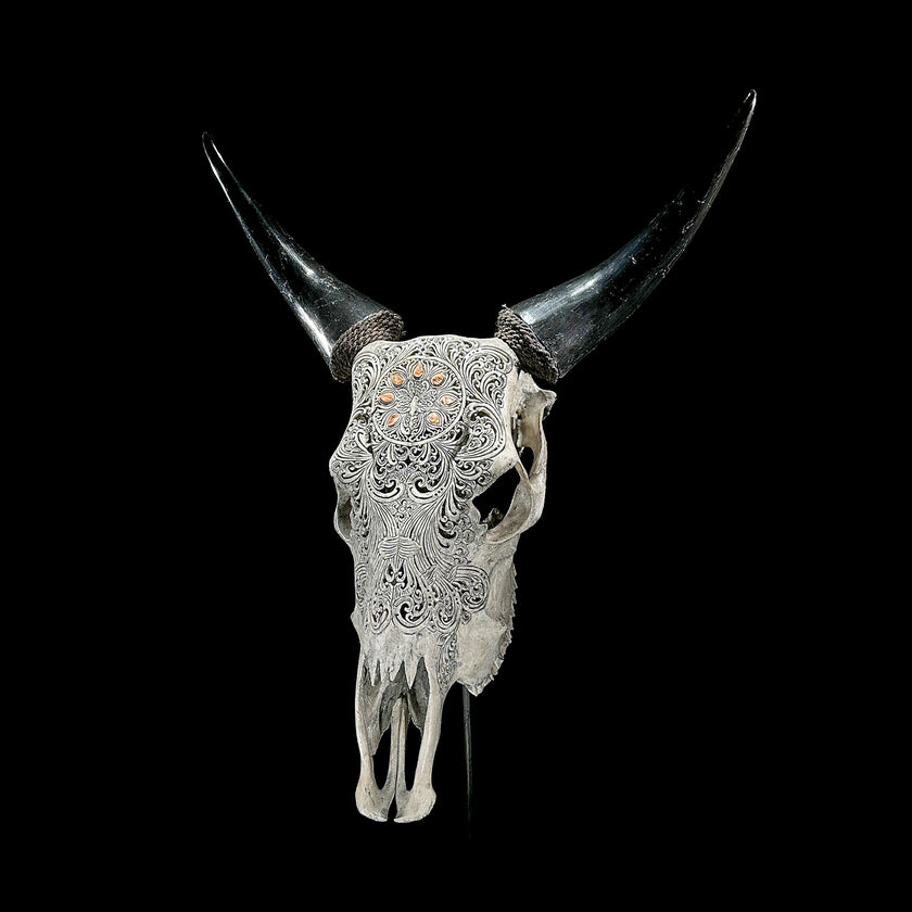 Grey Carved Cow Skull With Abalone Shell Accents - Peacock motif | Skull,A/144