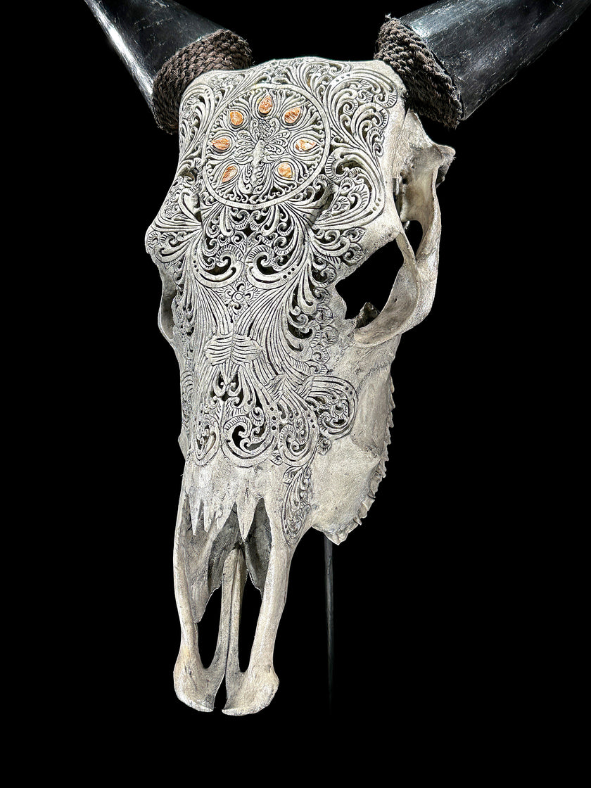 Grey Carved Cow Skull With Abalone Shell Accents - Peacock motif | Skull,A/144