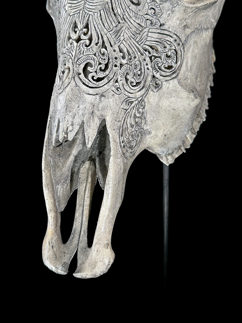 Grey Carved Cow Skull With Abalone Shell Accents - Peacock motif | Skull,A/144