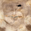 Beautiful Slice of Petrified Wood on stand - S6/170