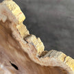 Beautiful Slice of Petrified Wood on stand - S6/170
