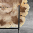 Beautiful Slice of Petrified Wood on stand - S6/170