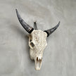 Cow & Horns Carved Infinity - Skull,A/038