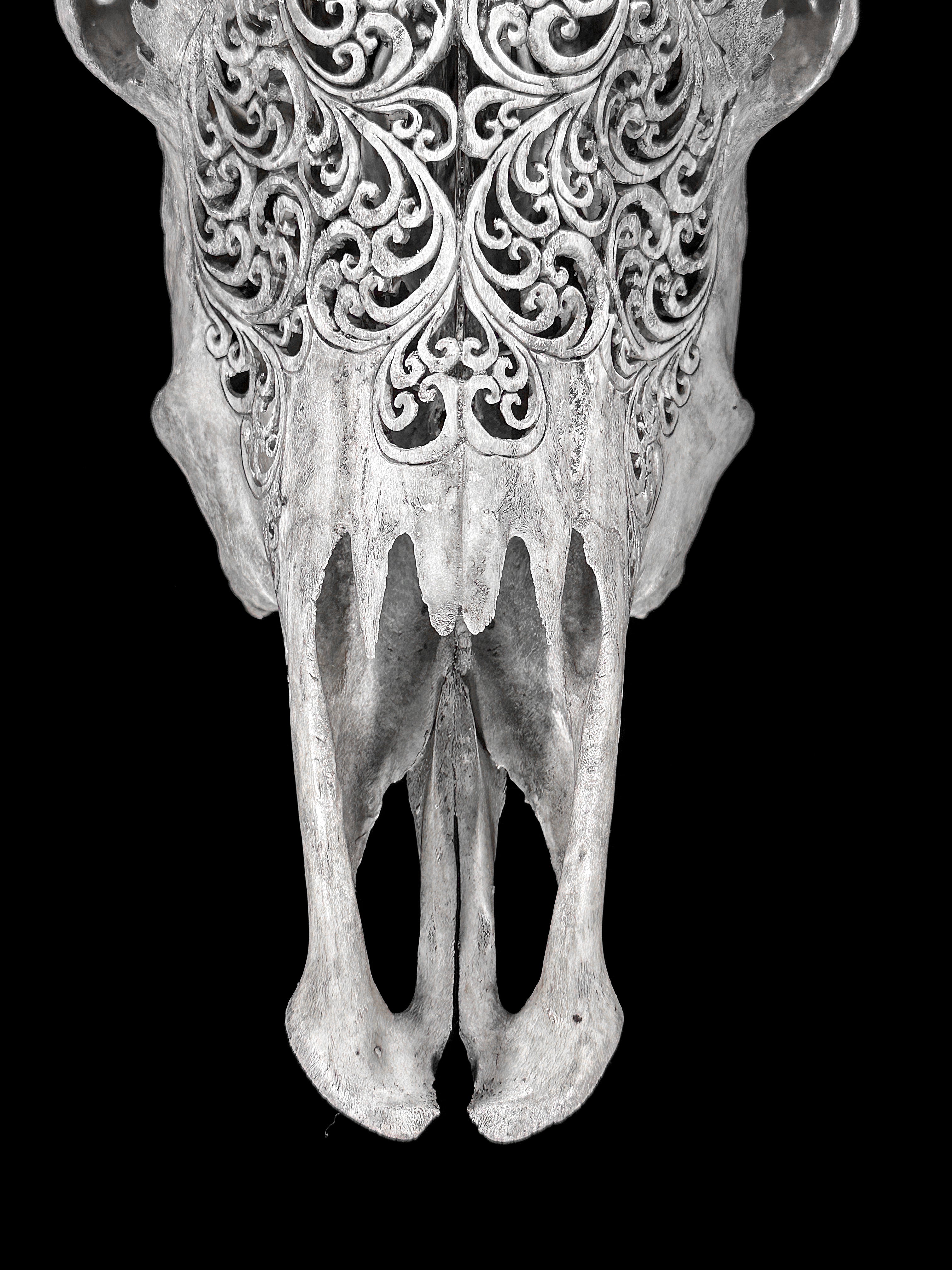 Grey Carved Cow Skull With Turqoise Accents - Star mandala motif | Skull,A/140