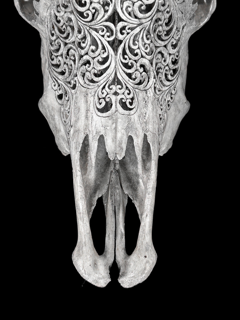 Grey Carved Cow Skull With Turqoise Accents - Star mandala motif | Skull,A/140