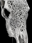 Grey Carved Cow Skull With Turqoise Accents - Star mandala motif | Skull,A/140