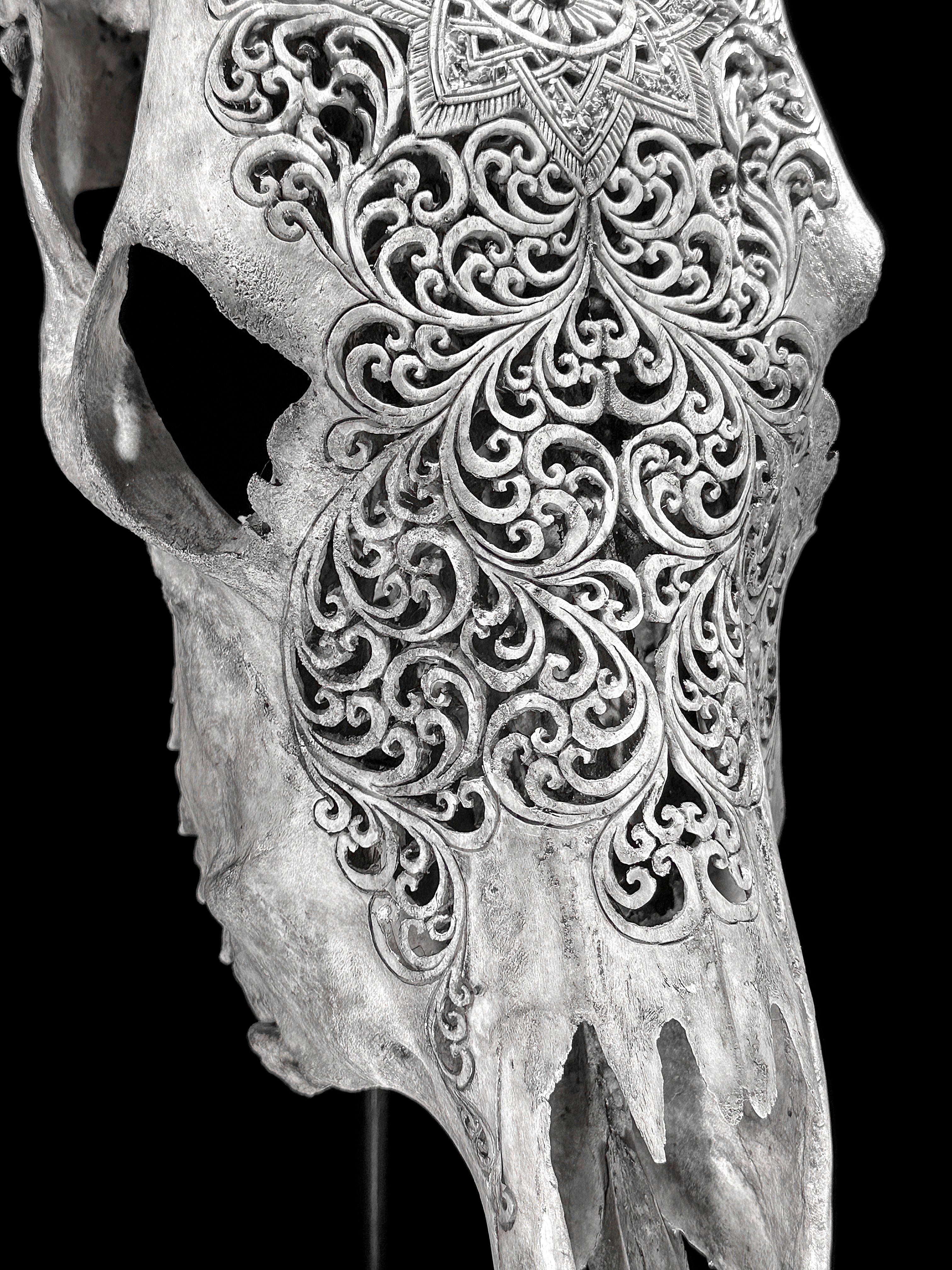 Grey Carved Cow Skull With Turqoise Accents - Star mandala motif | Skull,A/140