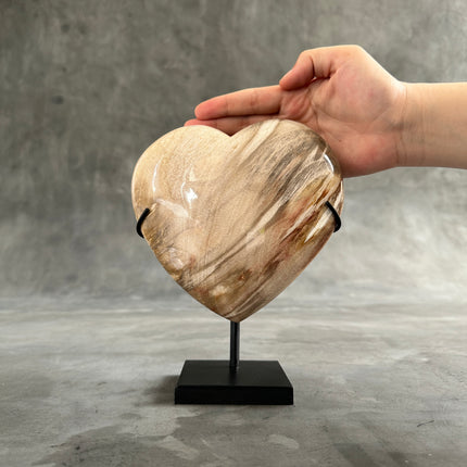 Wonderful Petrified Wood Heart-Shaped on a Custom Stand PWH/23/590