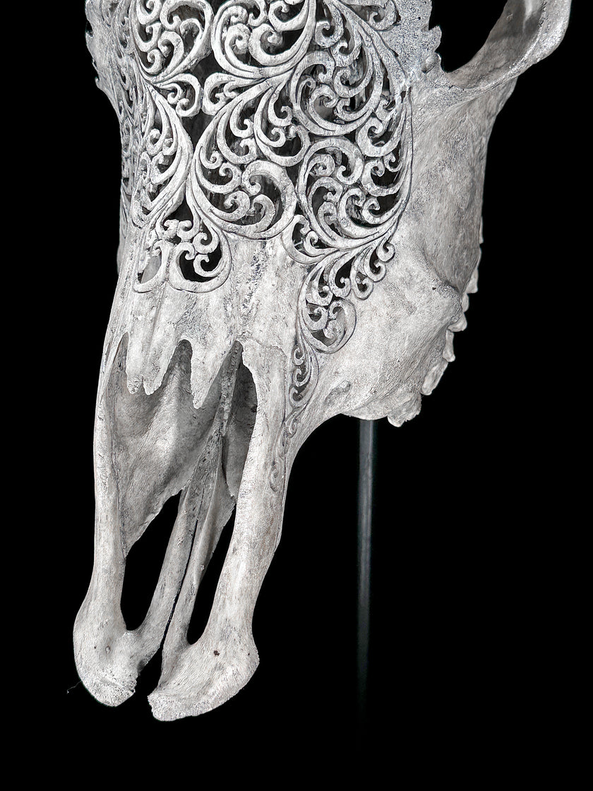 Grey Carved Cow Skull With Turqoise Accents - Star mandala motif | Skull,A/140