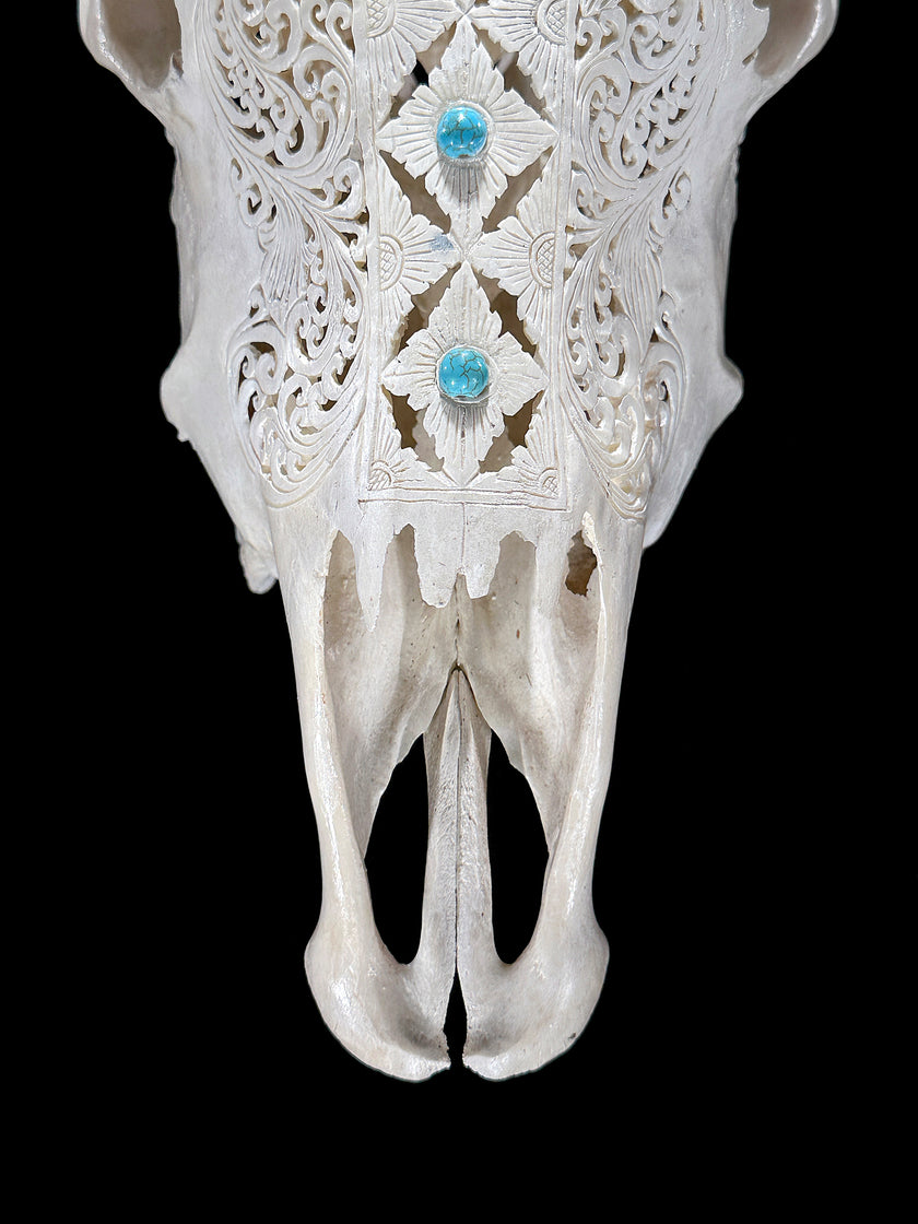 White Carved Cow Skull With Turqoise Accents - Ketupat motif | Skull,A/137