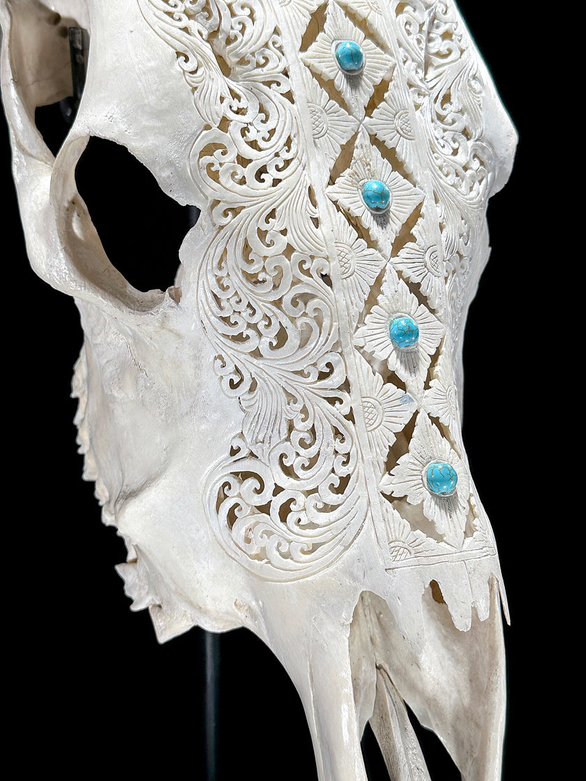White Carved Cow Skull With Turqoise Accents - Ketupat motif | Skull,A/137
