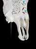 White Carved Cow Skull With Turqoise Accents - Ketupat motif | Skull,A/137