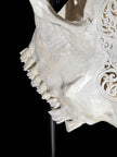 White Carved Cow Skull With Turqoise Accents - Ketupat motif | Skull,A/137