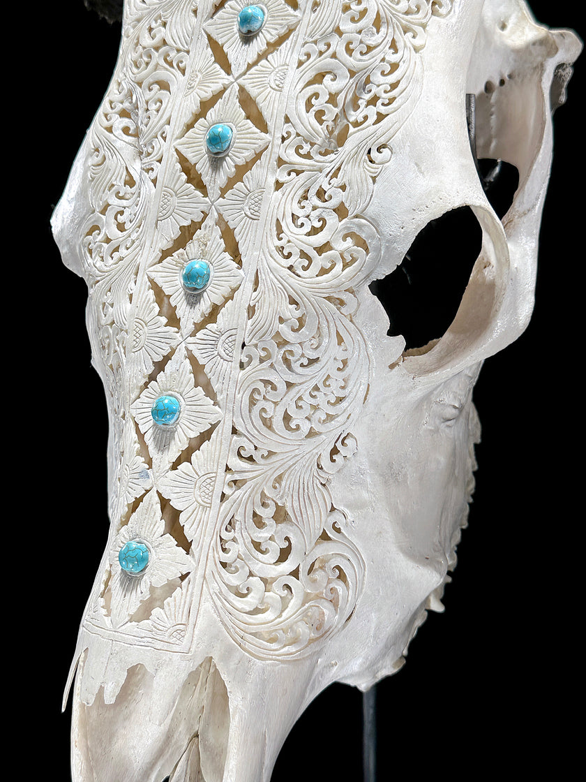 White Carved Cow Skull With Turqoise Accents - Ketupat motif | Skull,A/137
