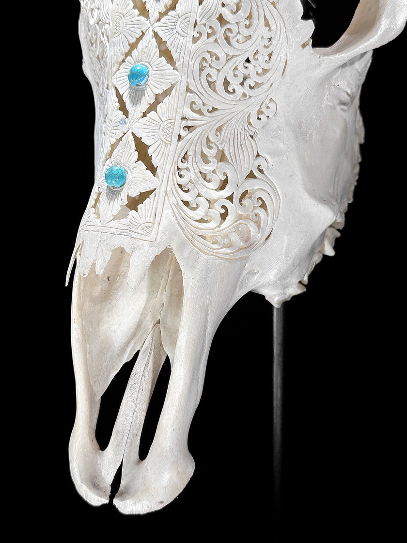 White Carved Cow Skull With Turqoise Accents - Ketupat motif | Skull,A/137