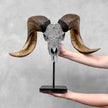 Carved Ram Skull with Star Mandala motif on stand - Skull,A/160