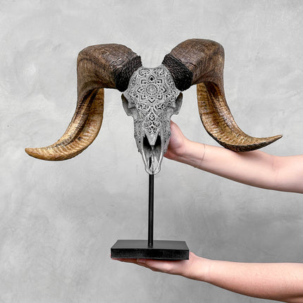 Carved Ram Skull with Star Mandala motif on stand - Skull,A/160