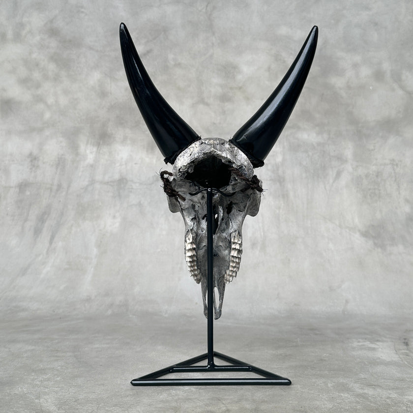 Grey Carved Goat Skull on Stand - Small Lotus Engraving – Unique Gothic Boho Home Decor, Rustic Wall Mount