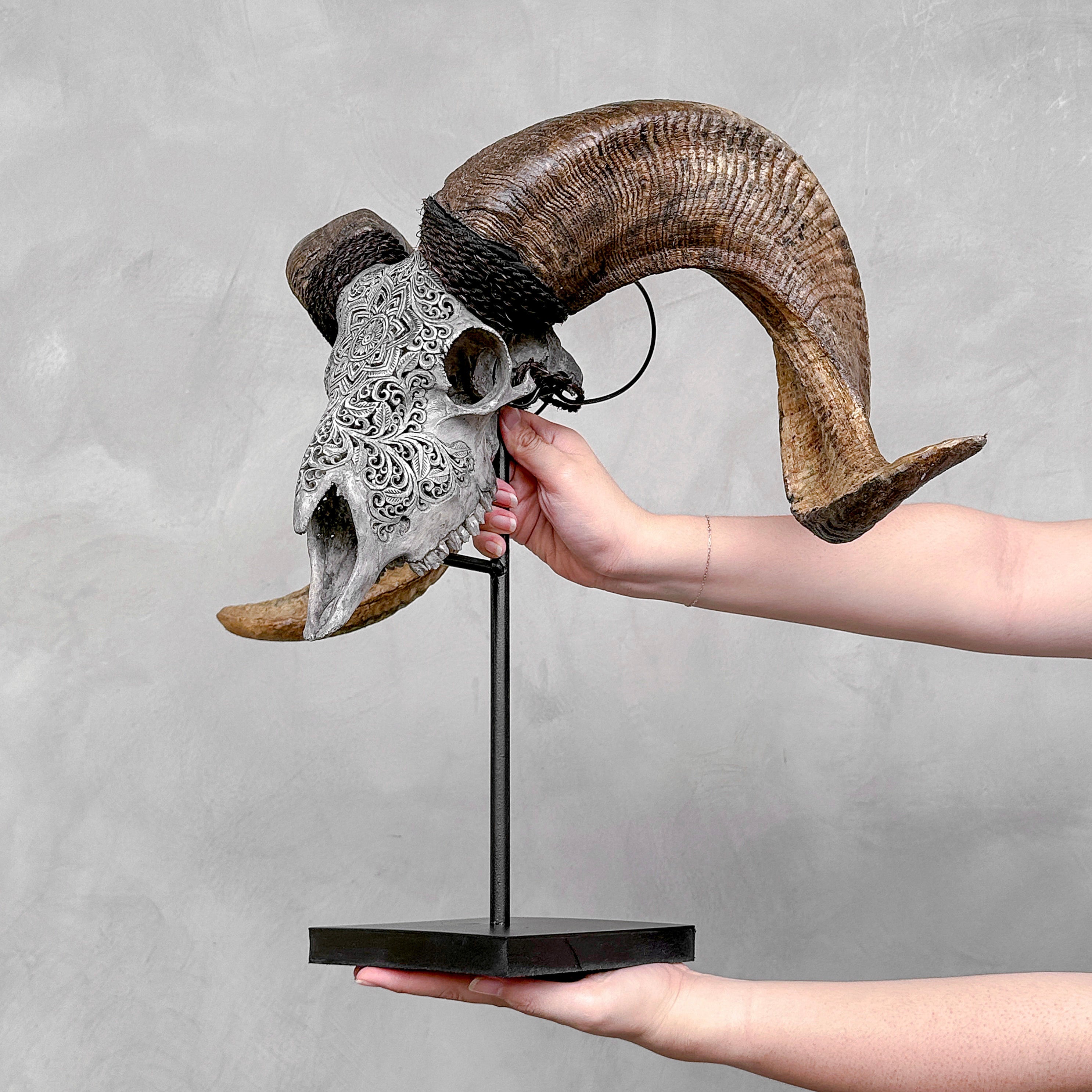 Carved Ram Skull with Star Mandala motif on stand - Skull,A/160