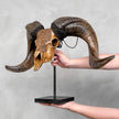 Carved Ram Skull with Badong motif on stand - Skull,A/162