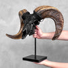 Carved Ram Skull with Star Mandala motif on stand - Skull,A/182