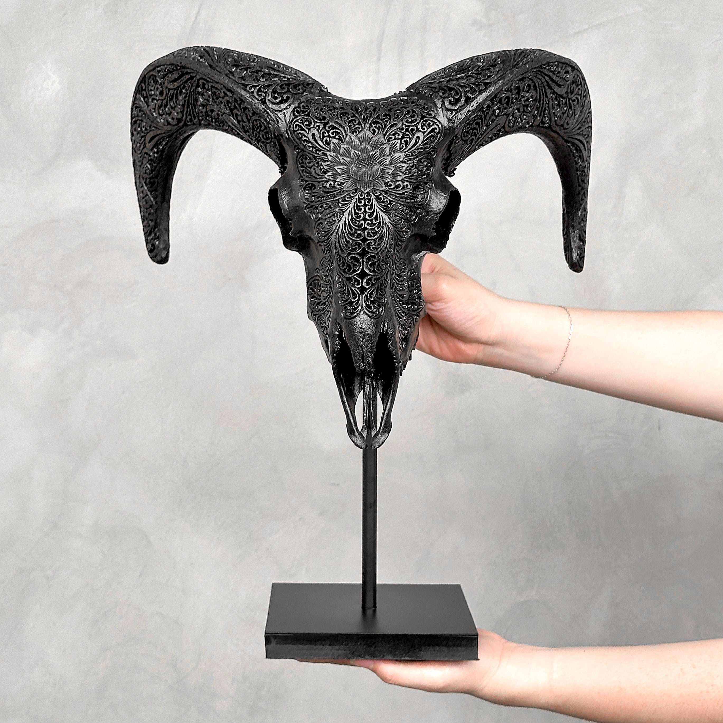 Black Ram Skull Carved Horns with Big Lotus motif on stand - Skull,A/163
