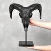Black Ram Skull Carved Horns with Big Lotus motif on stand - Skull,A/163
