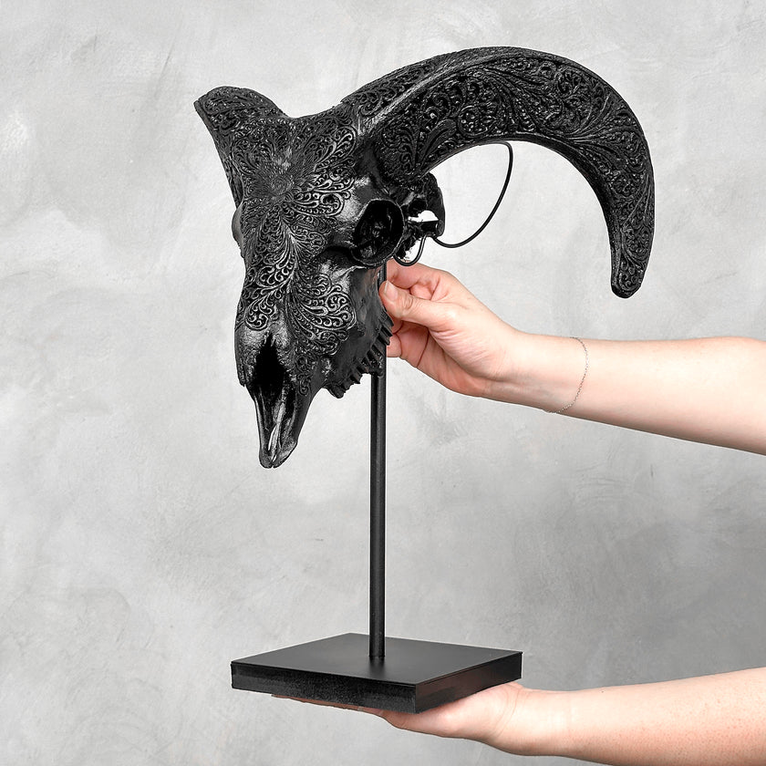 Black Ram Skull Carved Horns with Big Lotus motif on stand - Skull,A/163