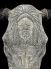 Bull Skull Carved Indian - Skull,A/153